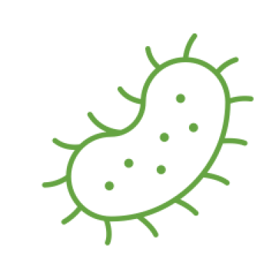 bacteria-icon.png